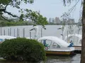 千波湖の写真_1177931
