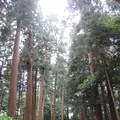 偕楽園の写真_1177946
