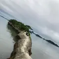 松島 馬の背の写真_1180897