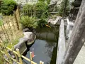 繁多寺の写真_1181596