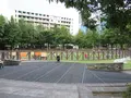 信義区信義広場狗活動区の写真_1181693