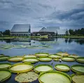 富山県中央植物園の写真_1191821