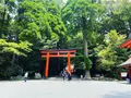 霧島神宮の写真_1193644