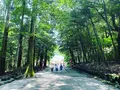 霧島神宮の写真_1193645