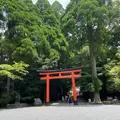 霧島神宮の写真_1193649