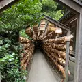 川越氷川神社の写真_1194432