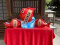 川越氷川神社の写真_1194434