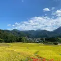 横瀬町の寺坂棚田の写真_1195374