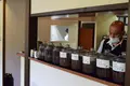 龍泉荘 奥の院 木もれ陽の写真_1195437