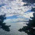 桂浜の写真_1199907