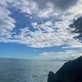 桂浜の写真_1199908
