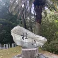 桂浜の写真_1199912