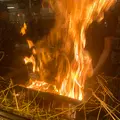ひろめ市場の写真_1201442