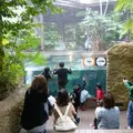 若狭たかはまエルどらんどの写真_1209010