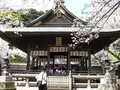 金崎宮の写真_1213036