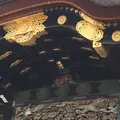 元離宮 二条城の写真_1214250