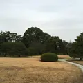元離宮 二条城の写真_1214252