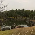 元離宮 二条城の写真_1214254