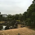 元離宮 二条城の写真_1214255
