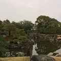元離宮 二条城の写真_1214256