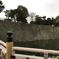 元離宮 二条城の写真_1214259