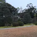元離宮 二条城の写真_1214260