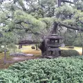 元離宮 二条城の写真_1214261