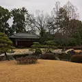 元離宮 二条城の写真_1214263