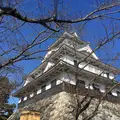 豊公園の写真_1215517