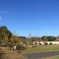 豊公園の写真_1215519