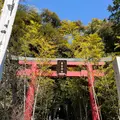 來宮神社の写真_1216293