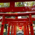 來宮神社の写真_1216295