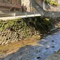 來宮神社の写真_1216296