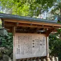 來宮神社の写真_1216299
