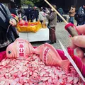 川越氷川神社の写真_1217772