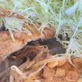 肉食堂 最後にカツ。の写真_1221922