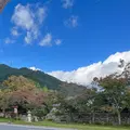 日吉大社の写真_1221961