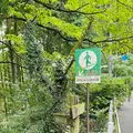 御岳渓谷の写真_1223376