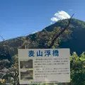 奥多摩湖の写真_1223491