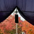 永観堂（禅林寺）の写真_1225108