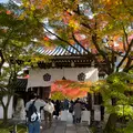 永観堂（禅林寺）の写真_1225109