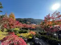 永観堂（禅林寺）の写真_1225110