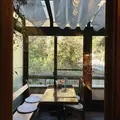 山鳩の写真_1230829