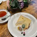 山鳩の写真_1230831