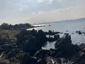 桜島溶岩なぎさ公園＆足湯の写真_1232727