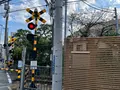 ハリス記念鎌倉幼稚園の写真_1241743