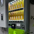 伊良コーラ渋谷店の写真_1242667