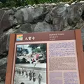 大宝寺の写真_1245322