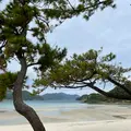 蛤浜海水浴場の写真_1245401