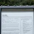 カトリック中ノ浦教会の写真_1245430